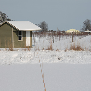 Farm in winter