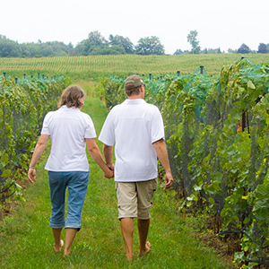 Steve and Anita walking through grape vine field